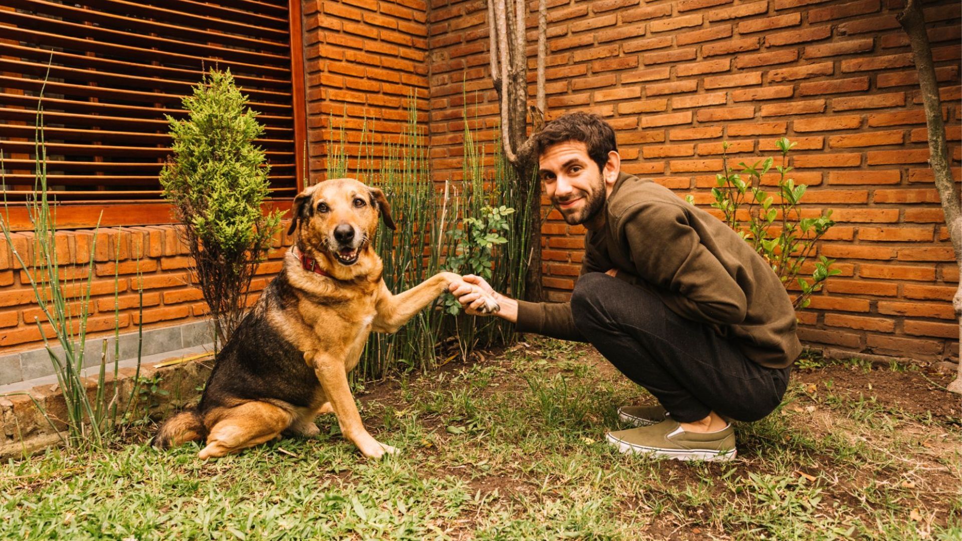 How To Report A Puppy Mill Uncover The Truth And Take Action