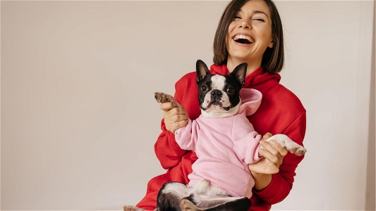 Best dog pajamas for large dogs-Top picks of 2023